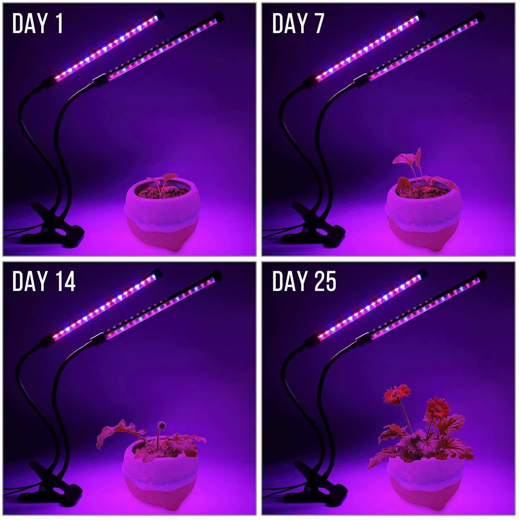 USB LED Plant Grow Light Indoor Garden 10 Dimmable Levels Grow Light Full Spectrum Timer Setting Hydroponic Greenhouse 3H/9H/12H