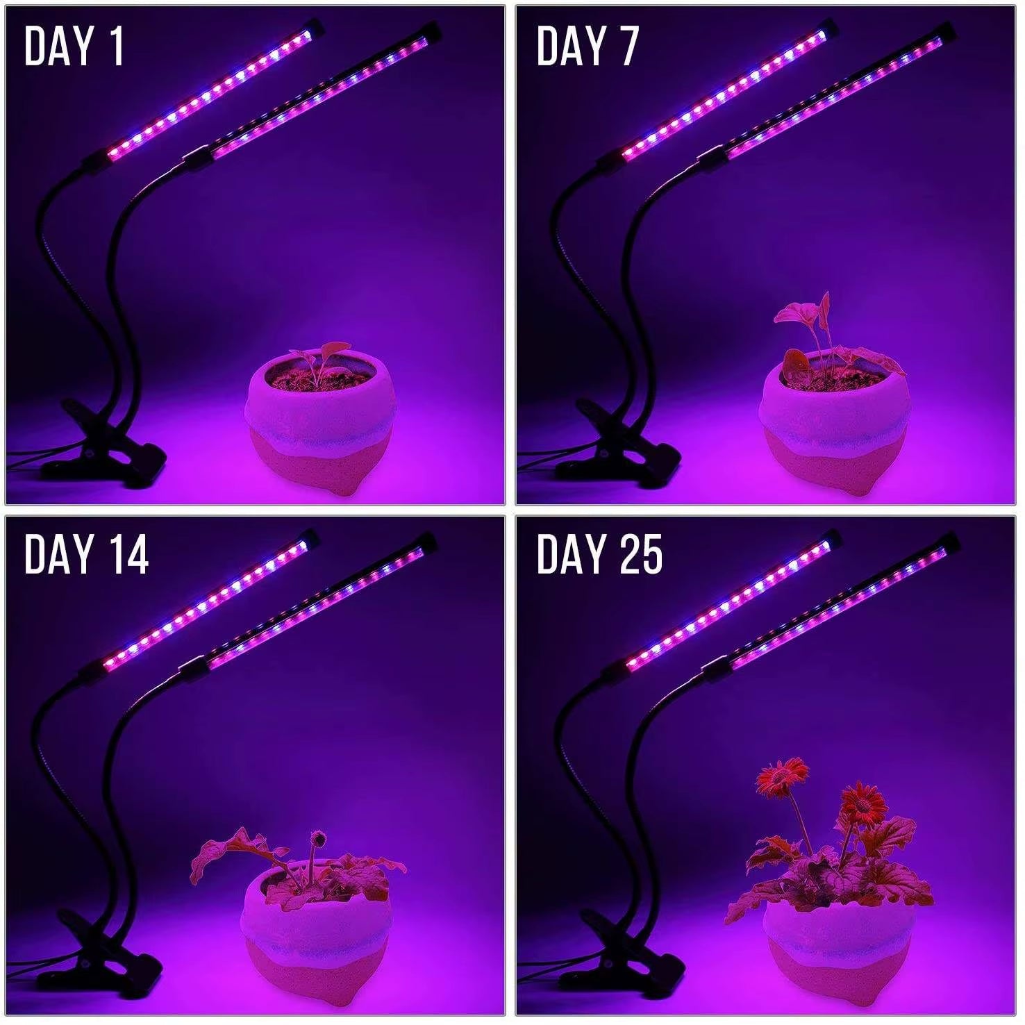 USB LED Plant Grow Light Indoor Garden 10 Dimmable Levels Grow Light Full Spectrum Timer Setting Hydroponic Greenhouse 3H/9H/12H